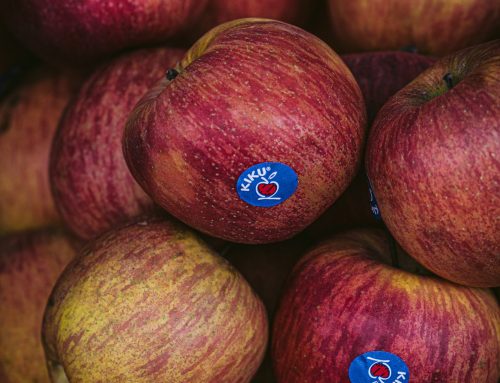 KIKU Apples