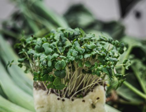 Broco cress
