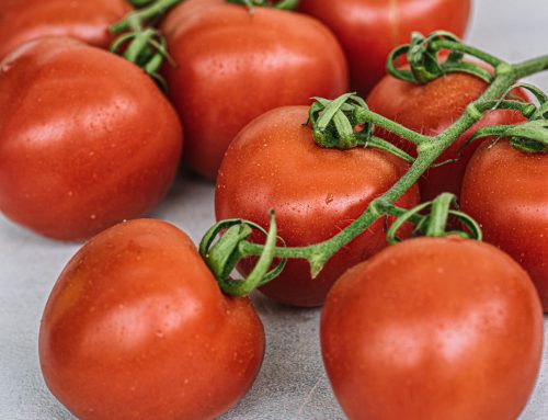 Tomato tsambati (tsabi)