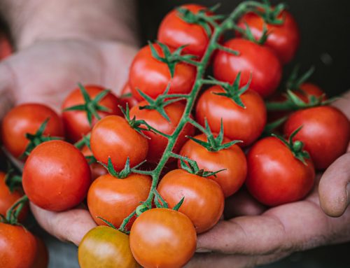 Cherry tomatoes