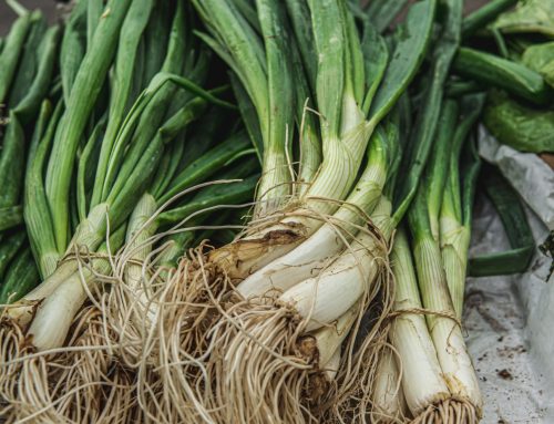 Fresh spring onions (green onions)
